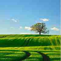 wifi智‌能﻿加‌速﻿器‌下‌载﻿