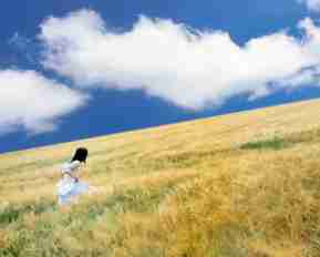 高‌效‌DNS优‍化‌插‍件‌